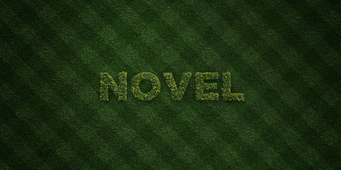NOVEL - fresh Grass letters with flowers and dandelions - 3D rendered royalty free stock image. Can be used for online banner ads and direct mailers..