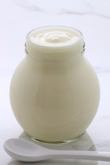 plain french style yogurt