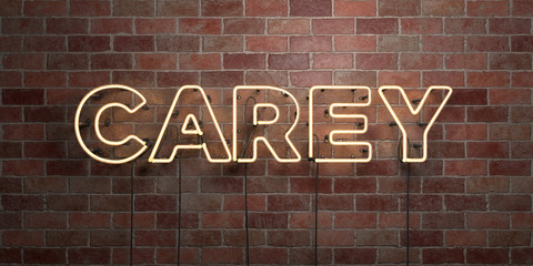 CAREY - fluorescent Neon tube Sign on brickwork - Front view - 3D rendered royalty free stock picture. Can be used for online banner ads and direct mailers..
