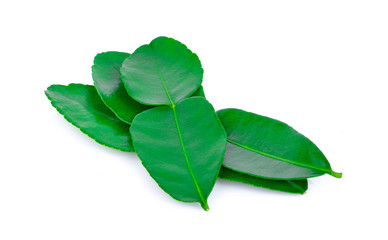 bergamot  leaves on white background