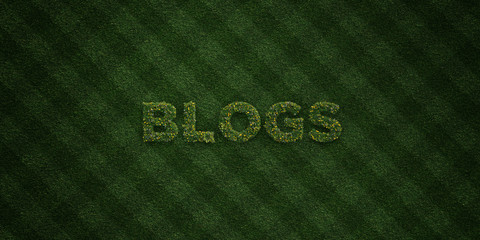 BLOGS - fresh Grass letters with flowers and dandelions - 3D rendered royalty free stock image. Can be used for online banner ads and direct mailers..