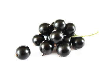 Large ripe berries of black currant