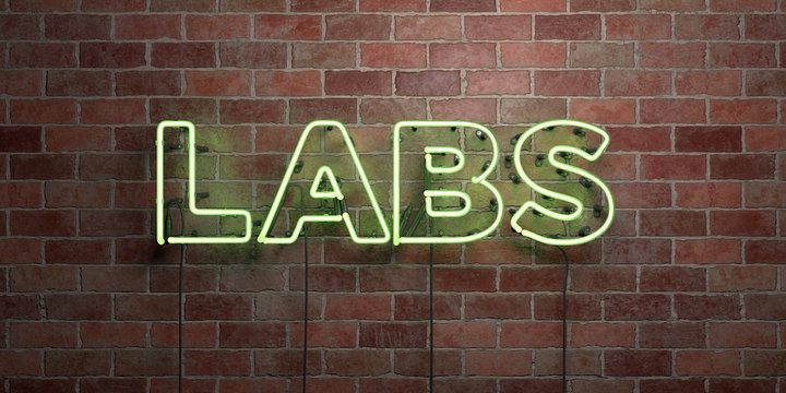 LABS - fluorescent Neon tube Sign on brickwork - Front view - 3D rendered royalty free stock picture. Can be used for online banner ads and direct mailers..