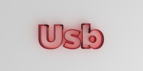 Usb - Red glass text on white background - 3D rendered royalty free stock image.
