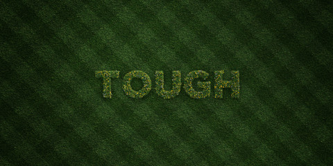 TOUGH - fresh Grass letters with flowers and dandelions - 3D rendered royalty free stock image. Can be used for online banner ads and direct mailers..