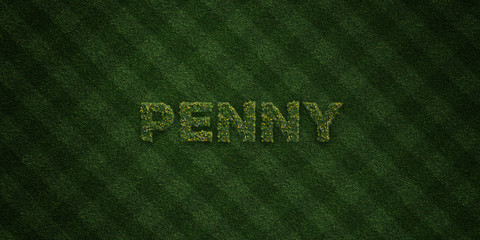PENNY - fresh Grass letters with flowers and dandelions - 3D rendered royalty free stock image. Can be used for online banner ads and direct mailers..