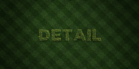 Fototapeta na wymiar DETAIL - fresh Grass letters with flowers and dandelions - 3D rendered royalty free stock image. Can be used for online banner ads and direct mailers..