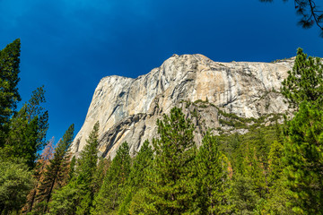 El Capitan Yosemite