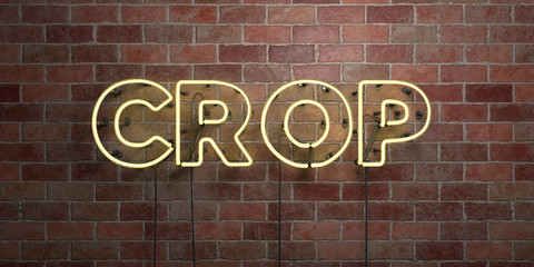 Fototapeta premium CROP - fluorescent Neon tube Sign on brickwork - Front view - 3D rendered royalty free stock picture. Can be used for online banner ads and direct mailers..