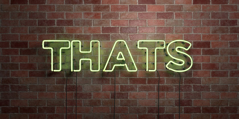 THATS - fluorescent Neon tube Sign on brickwork - Front view - 3D rendered royalty free stock picture. Can be used for online banner ads and direct mailers..