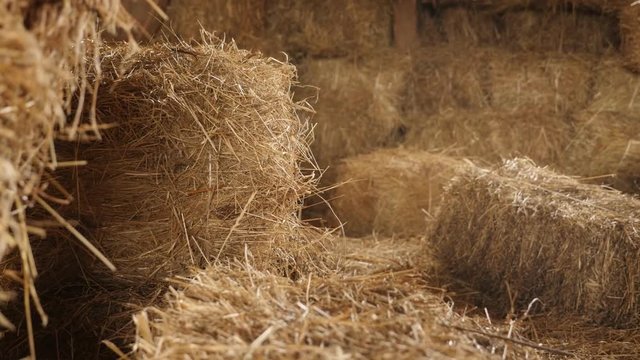 Shallow DOF large rectangular bales in the barn slow tilt 4K 2160p 30fps UltraHD footage