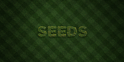 SEEDS - fresh Grass letters with flowers and dandelions - 3D rendered royalty free stock image. Can be used for online banner ads and direct mailers..