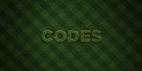 CODES - fresh Grass letters with flowers and dandelions - 3D rendered royalty free stock image. Can be used for online banner ads and direct mailers..