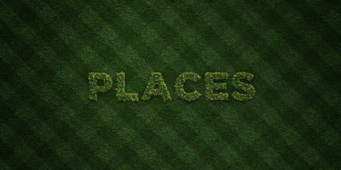 PLACES - fresh Grass letters with flowers and dandelions - 3D rendered royalty free stock image. Can be used for online banner ads and direct mailers..