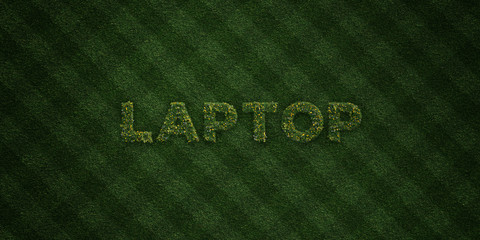 LAPTOP - fresh Grass letters with flowers and dandelions - 3D rendered royalty free stock image. Can be used for online banner ads and direct mailers..