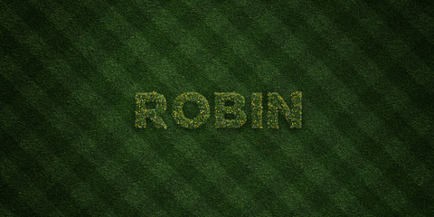 ROBIN - fresh Grass letters with flowers and dandelions - 3D rendered royalty free stock image. Can be used for online banner ads and direct mailers..