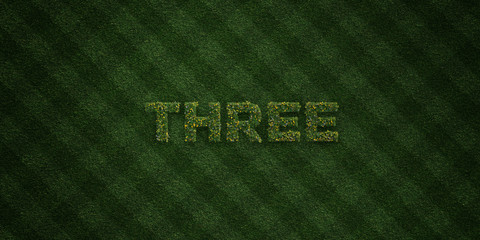 THREE - fresh Grass letters with flowers and dandelions - 3D rendered royalty free stock image. Can be used for online banner ads and direct mailers..
