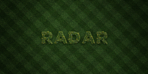 RADAR - fresh Grass letters with flowers and dandelions - 3D rendered royalty free stock image. Can be used for online banner ads and direct mailers..