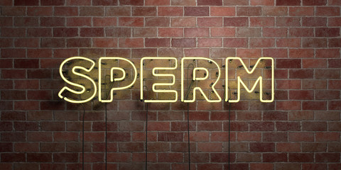 SPERM - fluorescent Neon tube Sign on brickwork - Front view - 3D rendered royalty free stock picture. Can be used for online banner ads and direct mailers..