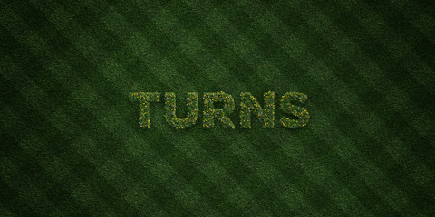 TURNS - fresh Grass letters with flowers and dandelions - 3D rendered royalty free stock image. Can be used for online banner ads and direct mailers..