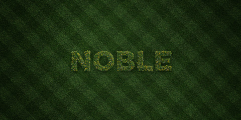 NOBLE - fresh Grass letters with flowers and dandelions - 3D rendered royalty free stock image. Can be used for online banner ads and direct mailers..