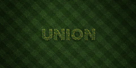 UNION - fresh Grass letters with flowers and dandelions - 3D rendered royalty free stock image. Can be used for online banner ads and direct mailers..