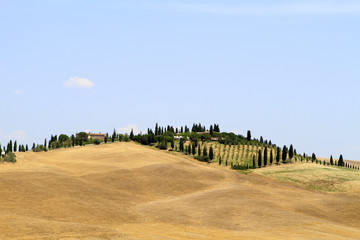 Fototapeta na wymiar Typical landscape of Tuscany at Crete Senesi, Italy, Europe