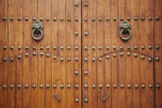 doorknob shapes as two lions on a wooden door
