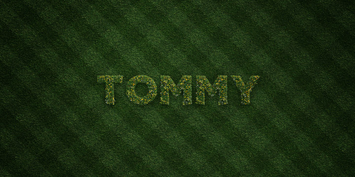 TOMMY - fresh Grass letters with flowers and dandelions - 3D rendered royalty free stock image. Can be used for online banner ads and direct mailers..