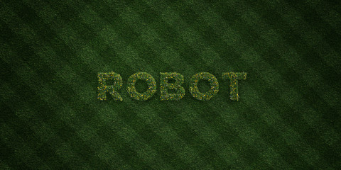 ROBOT - fresh Grass letters with flowers and dandelions - 3D rendered royalty free stock image. Can be used for online banner ads and direct mailers..