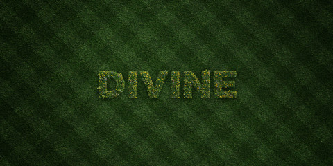 DIVINE - fresh Grass letters with flowers and dandelions - 3D rendered royalty free stock image. Can be used for online banner ads and direct mailers..