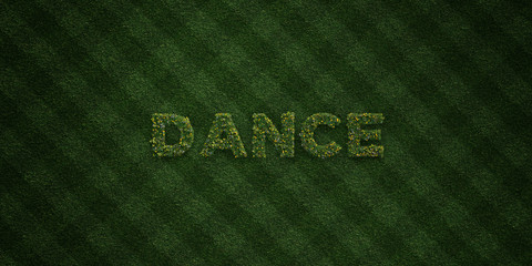 DANCE - fresh Grass letters with flowers and dandelions - 3D rendered royalty free stock image. Can be used for online banner ads and direct mailers..