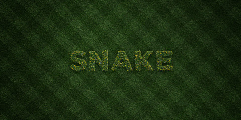 SNAKE - fresh Grass letters with flowers and dandelions - 3D rendered royalty free stock image. Can be used for online banner ads and direct mailers..