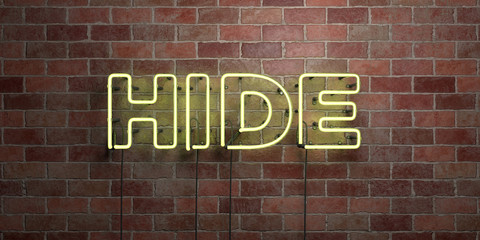 HIDE - fluorescent Neon tube Sign on brickwork - Front view - 3D rendered royalty free stock picture. Can be used for online banner ads and direct mailers..