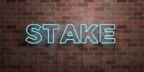 STAKE - fluorescent Neon tube Sign on brickwork - Front view - 3D rendered royalty free stock picture. Can be used for online banner ads and direct mailers..