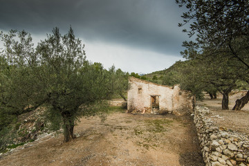 Fototapeta na wymiar Rural dry stone house in olive tree orchand