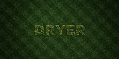 DRYER - fresh Grass letters with flowers and dandelions - 3D rendered royalty free stock image. Can be used for online banner ads and direct mailers..