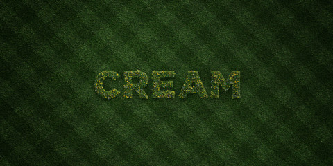 CREAM - fresh Grass letters with flowers and dandelions - 3D rendered royalty free stock image. Can be used for online banner ads and direct mailers..