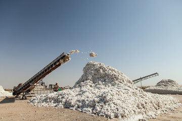 cotton drying