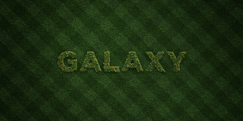 GALAXY - fresh Grass letters with flowers and dandelions - 3D rendered royalty free stock image. Can be used for online banner ads and direct mailers..