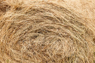 straw