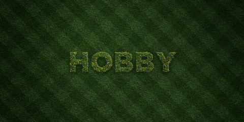 HOBBY - fresh Grass letters with flowers and dandelions - 3D rendered royalty free stock image. Can be used for online banner ads and direct mailers..
