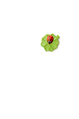 ladybug sitting on a four-leaf clover, isolated on white