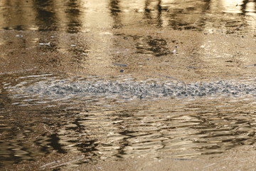 frozen lake