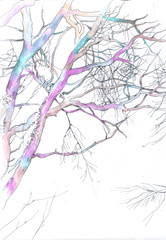 drawing with crayons tree branches
