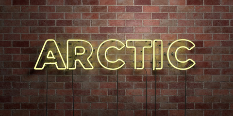 ARCTIC - fluorescent Neon tube Sign on brickwork - Front view - 3D rendered royalty free stock picture. Can be used for online banner ads and direct mailers..