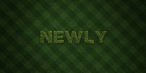 NEWLY - fresh Grass letters with flowers and dandelions - 3D rendered royalty free stock image. Can be used for online banner ads and direct mailers..