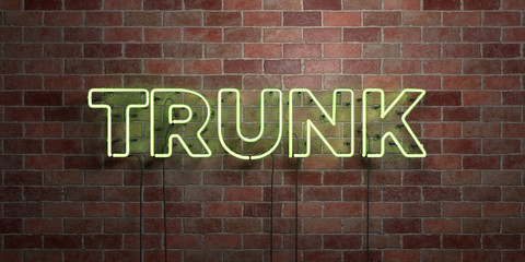 TRUNK - fluorescent Neon tube Sign on brickwork - Front view - 3D rendered royalty free stock picture. Can be used for online banner ads and direct mailers..