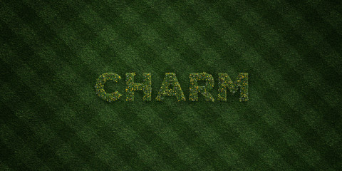 CHARM - fresh Grass letters with flowers and dandelions - 3D rendered royalty free stock image. Can be used for online banner ads and direct mailers..