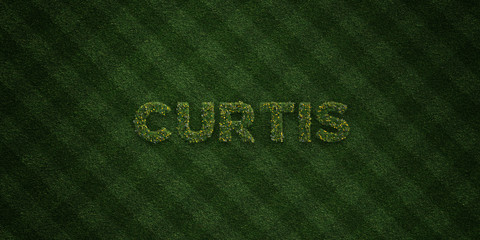 CURTIS - fresh Grass letters with flowers and dandelions - 3D rendered royalty free stock image. Can be used for online banner ads and direct mailers..